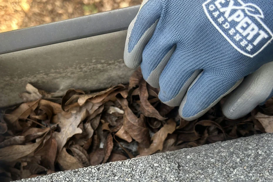 Gutter Cleaning Hancock